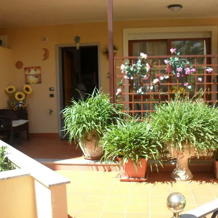 Albero Alto Alghero
